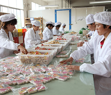 浙江新云木業(yè)被選為2012年度麗水市功勛企業(yè)名單